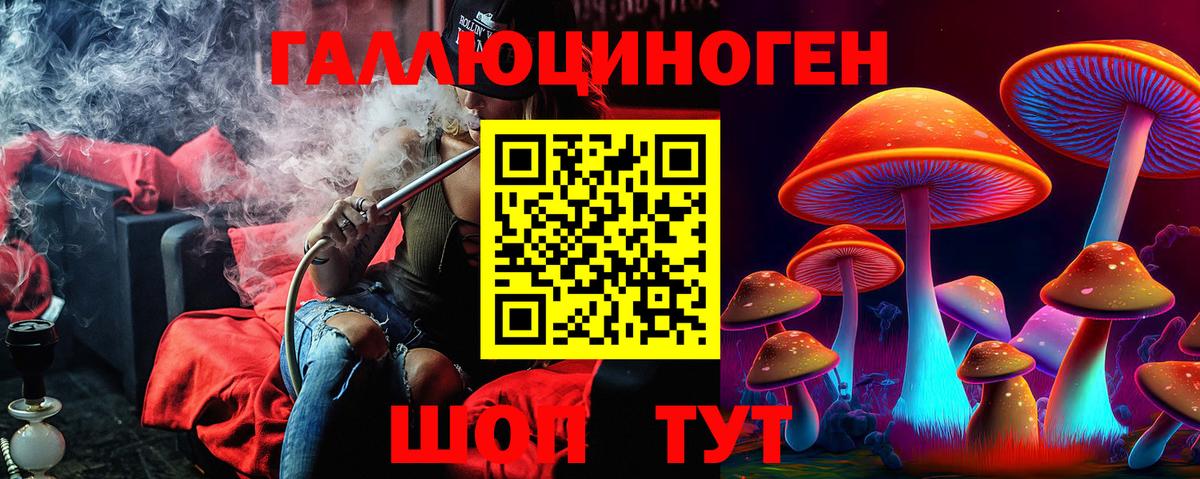 Галлюциногенные грибы Cubensis Дагестанские Огни